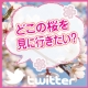 イベント「【Twitterでつぶやいて春気分♪】　どこの桜を見に行きたい？桜のブーケスト☆」の画像