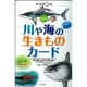 イベント「マンボウ、サメ、ザリガニ！夏休みにピッタリ！くもんの『川や海の生きものカード』！」の画像