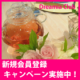 イベント「【Dreamia Club新規会員登録キャンペーン♪】100名様にプレゼント！」の画像