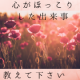 【アンケート】今年、心がほっこりした出来事は？/モニター・サンプル企画