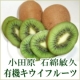 【3名様限定】石綿さんの有機JASキウイフルーツをモニタープレゼント!!/モニター・サンプル企画