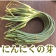 イベント「【3名様限定】福岡県の『無農薬ニンニクの芽』モニタープレゼント」の画像