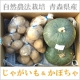 イベント「【3名様限定】青森県むつ市の無農薬いも・カボチャをモニタープレゼント」の画像