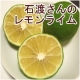 イベント「石綿さんの有機JASレモンライムセットプレゼント!!【3名様限定】」の画像