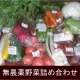 イベント「【5名様限定】無農薬野菜詰め合わせ　アグリパック　プレゼント!!」の画像