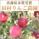 イベント「【3名様限定】青森健康リンゴ『ふじ』田村りんご農園からプレゼント!!」の画像