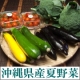 【3名様限定】沖縄県夏野菜ボックス6種セット　モニタープレゼント/モニター・サンプル企画