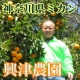 イベント「【3名様限定】神奈川県の無農薬柑橘『甘夏、ニューサマー』モニタープレゼント」の画像
