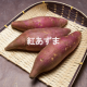 イベント「【5名様限定】有機JAS無農薬サツマイモ『紅あずま』モニタープレゼント」の画像