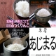 イベント「【10名様】北海道特A米を食べ比べ♪ あなたのお気に入りのお米はどれですか？」の画像