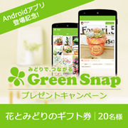 「Androidアプリ リリース感謝記念プレゼントキャンペーン♪」の画像、GreenSnapのモニター・サンプル企画