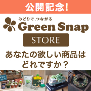 「GreenSnapStore公開記念！ あなたの欲しい商品はどれですか？」の画像、GreenSnapのモニター・サンプル企画