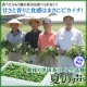 イベント「新潟の黒埼茶豆の早生品種【夏の声】のモニターを３名様募集」の画像