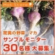 イベント「《サンプルモニター大募集》マカ5日分を30名様に！」の画像