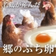 【大江ノ郷自然牧場】若鶏が産んだ初卵【郷のプチ卵♪】プレゼント！/モニター・サンプル企画
