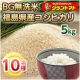 イベント「【グラントマト】BG無洗米25年福島産コシヒカリ5kg　試食モニター」の画像