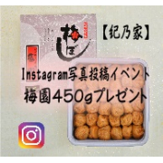 「【紀乃家】「梅園（うめぞの）450g」Instagram写真投稿イベント　」の画像、川辺食品株式会社のモニター・サンプル企画