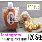 「【紀乃家】Instagramへ「しそねり梅」を使った料理の投稿をして下さる方募集（120名様）」の画像、川辺食品株式会社のモニター・サンプル企画