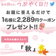 第2回【1名様に2,289円分クーポン！】毎月28日は「つぶやく日」！