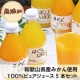 和歌山県有田から１００％果汁の美味しい【みかんジュース】　★5本セット★/モニター・サンプル企画