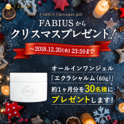「【Instagram限定】☆クリスマスプレゼントキャンペーン☆」の画像、ファビウス株式会社のモニター・サンプル企画