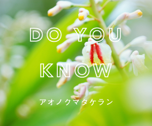 東京農工大学　共同研究　植物美容成分「アオノクマタケラン」 