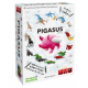Pigasus ピガサス/モニター・サンプル企画