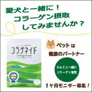 「愛犬と一緒に！純粋コラーゲンペプチド１００％粉末で健康に★１ケ月モニター募集！」の画像、新田ゼラチンダイレクトのモニター・サンプル企画