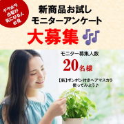 「【新商品モニター募集】チラホラ白髪が気になる人、ぜひ試してみて！髪が絡まない新・ポンポン付きヘアマスカラ（白髪用）」の画像、株式会社三宝のモニター・サンプル企画