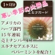 イベント「風邪が流行るその前に,エキナセアパワーで予防★エキナガード★サプリ本品10名様♪」の画像