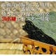 イベント「＼焼きたて／熊本・有明海産一番摘み焼海苔を30名様にモニター！」の画像
