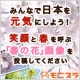 イベント「みんなで日本を元気にしよう！笑顔と春を呼ぶ「春の花」画像を投稿してください。」の画像