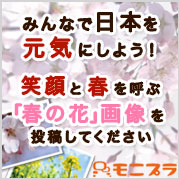 「みんなで日本を元気にしよう！笑顔と春を呼ぶ「春の花」画像を投稿してください。」の画像、モニプラ運営事務局のモニター・サンプル企画