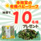 ★自家製牡蠣殻堆肥で作りました★「寺岡家の有機ベビーリーフ」【Instagram料理写真投稿モニター募集！】