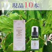 株式会社JE JAPANの取り扱い商品「ウチワサボテン種子オイル【CASEEPO】10ml×1本」の画像