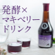 【2/29（日）までにインスタ投稿可能な方！】「マキベリー」配合の「限定コーボン」 先行お試しモニター募集/モニター・サンプル企画