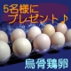 イベント「【松本ファーム】烏骨鶏の卵でおせち料理を作ろう ＜モニター募集♪♪＞　」の画像