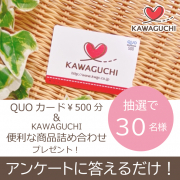 「【抽選で30名様】アンケートに答えるだけでQUOカード￥500分+KAWAGUCHI便利な商品詰め合わせをプレゼント！」の画像、株式会社KAWAGUCHIのモニター・サンプル企画