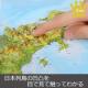 【ロハスショップ】立体日本地図カレンダー 小学社会科、親勉に 除菌消臭効果付き2/モニター・サンプル企画