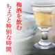金箔梅酒ＨＡＭＡＤＡプレゼント☆梅酒を飲むちょっと特別な時間。/モニター・サンプル企画