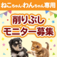 【犬猫飼い主さま限定企画】簡単アンケートに答えてモニター品をゲット♪モニター後アンケートなし！SNS投稿のみお願いします♪
