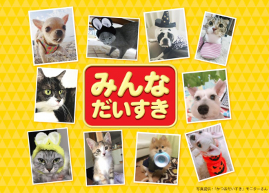 「だいすき」シリーズ ブランドサイト