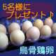 イベント「【松本ファーム】 産卵数が少なく高価で貴重な烏骨鶏の卵 ＜モニター募集♪♪＞」の画像