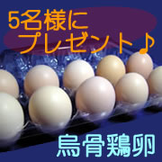 「【松本ファーム】 お中元に「烏骨鶏の卵」いかが？ ＜モニター募集♪♪＞」の画像、有限会社松本ファームのモニター・サンプル企画