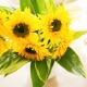 イベント「「ゴッホのひまわり」発売記念。向日葵のように明るい夏情報」の画像