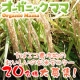 イベント「【オーガニックママ】ちばエコ農作物のおいしいお米モニターキャンペーン」の画像