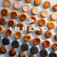 イベント「1BREADを使って美味しくヘルシーな朝食写真を撮ってくれる方募集！」の画像