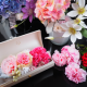 イベント「【フラワーギフトのメリアルーム】母の日にステキなお花の贈り物　モニター募集」の画像