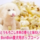 【愛犬用おやつ】バター・食塩不使用！とうもろこしの味と香りが美味しいポップコーン/モニター・サンプル企画