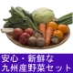 イベント「ブログで新サービスを紹介して、安心・新鮮・おいしい九州産の野菜セットをもらおう！」の画像